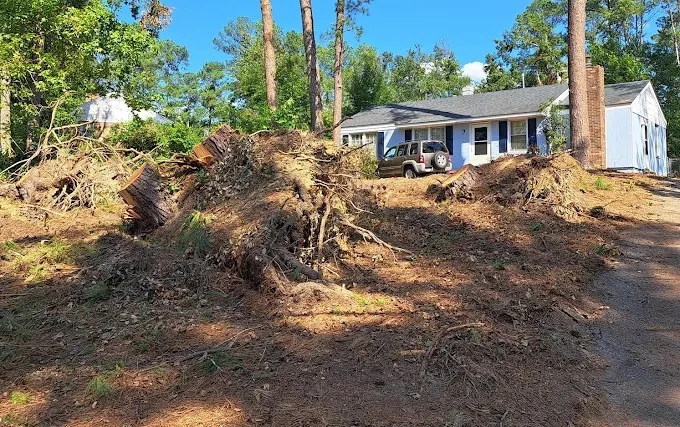 Create a Safer Yard with Tree & Stump Removal Services