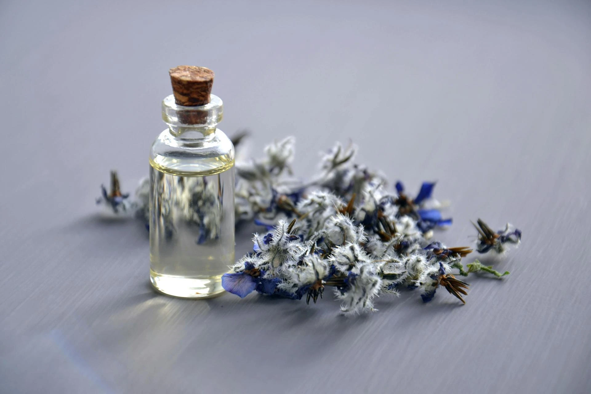 The Timeless World of Fragrance: A Journey Through Scent Symphony