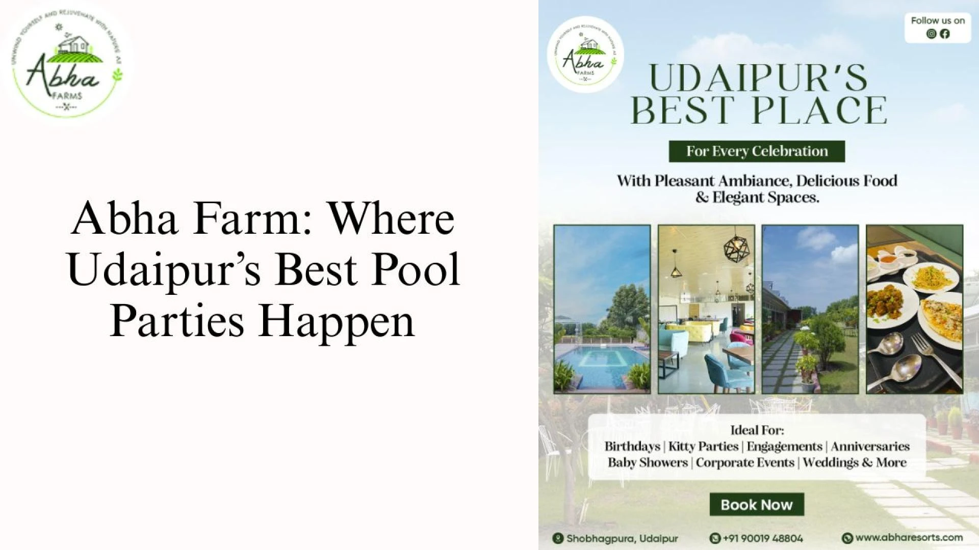 Abha Farm Where Udaipurs Best Pool Parties Happen