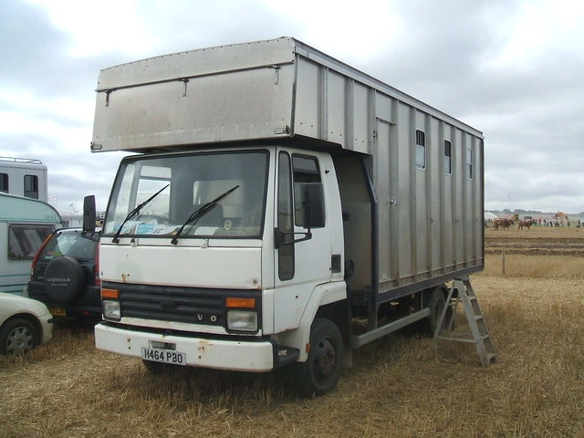 Solusi Ekspedisi Cargo Jakarta Hemat Biaya