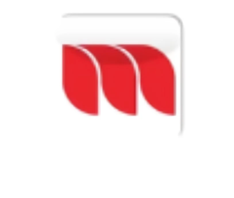 Minnesota Leaders: Shaping Tomorrow with Vision and Action