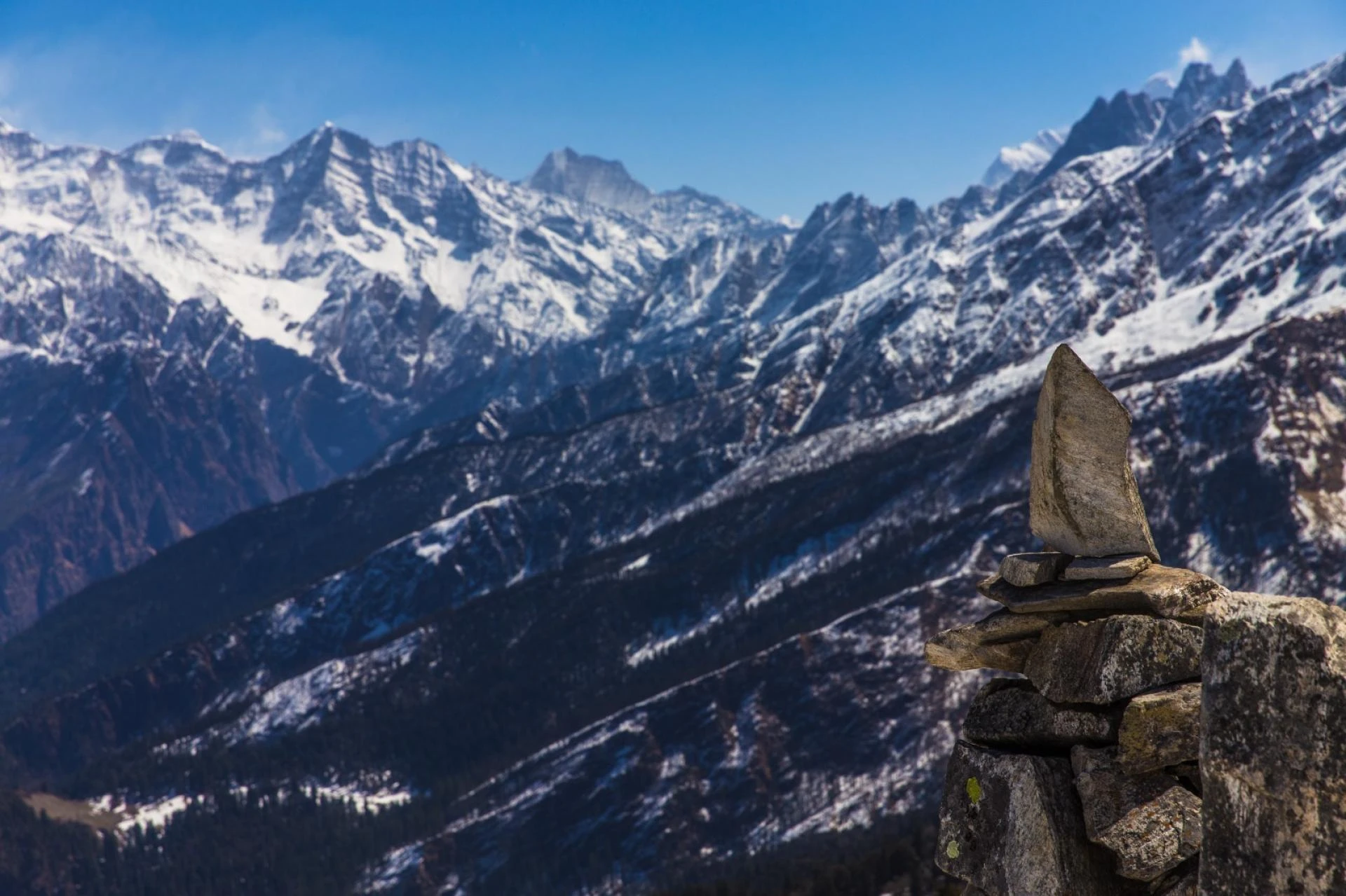 Epic Kuari Pass Trek Guide with Trekyaari – Explore More!