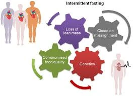 The Science Behind Intermittent Fasting: Benefits and Risks