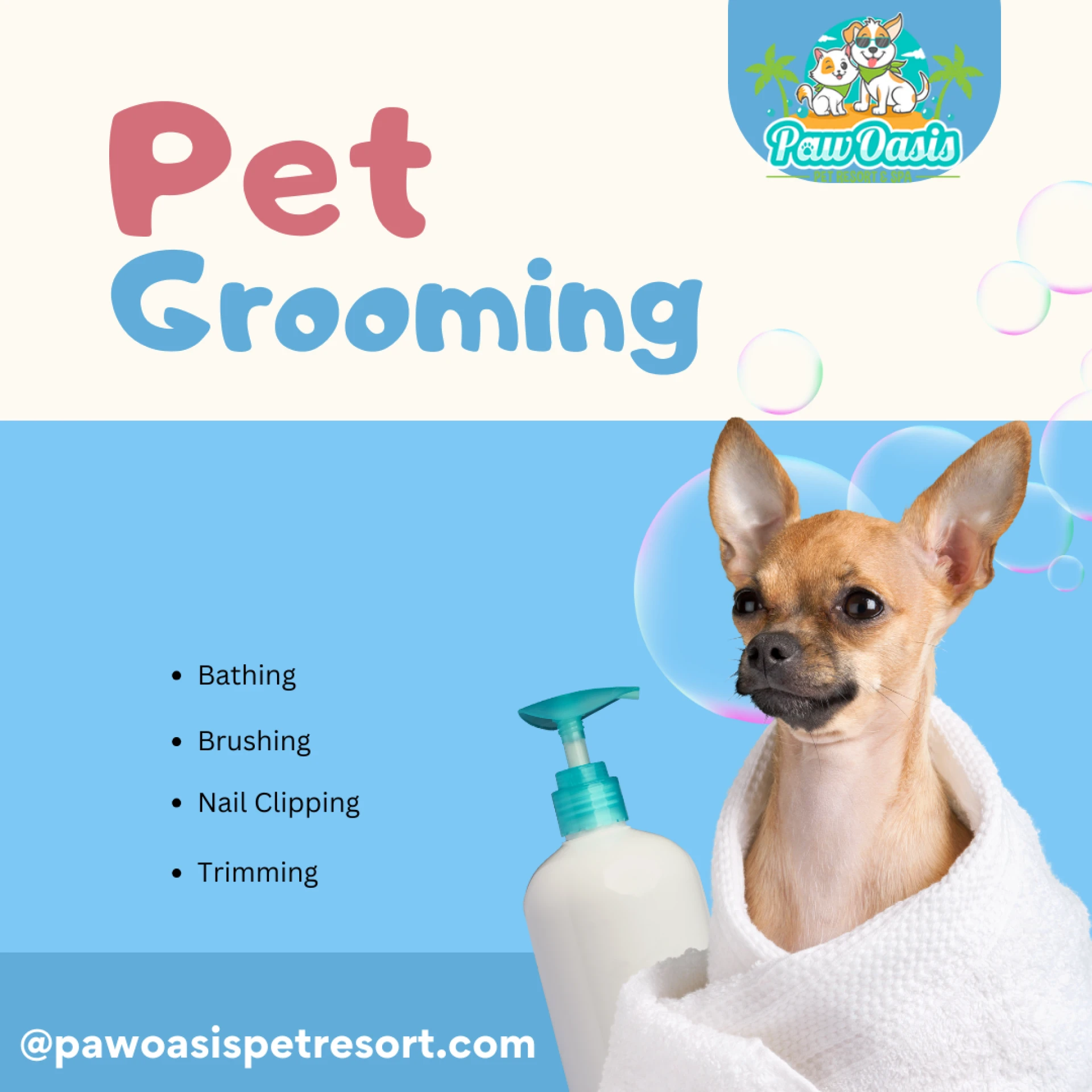 Are You Concerned About Your Dog’s Stay? Discover What Paw Oasis Offers in Dog Boarding