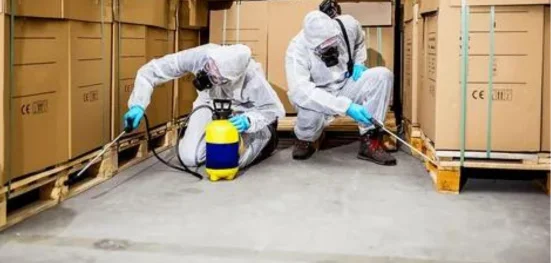 Trusted Inspection of Pest Control Brampton Service