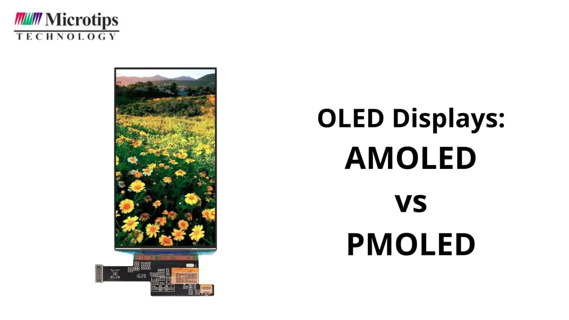 Differentiating Between The OLED Displays: AMOLED VS PMOLED