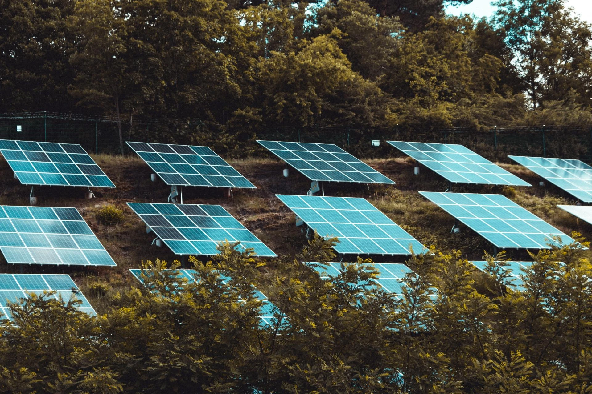 Matrix Solar: Powering a Greener Future Through Community-Focused Development