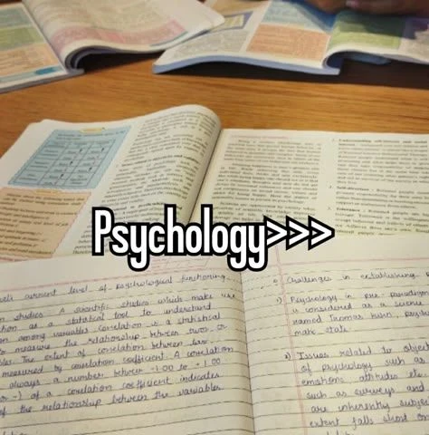 Career Options After a Bachelor’s in Psychology: What’s Next?