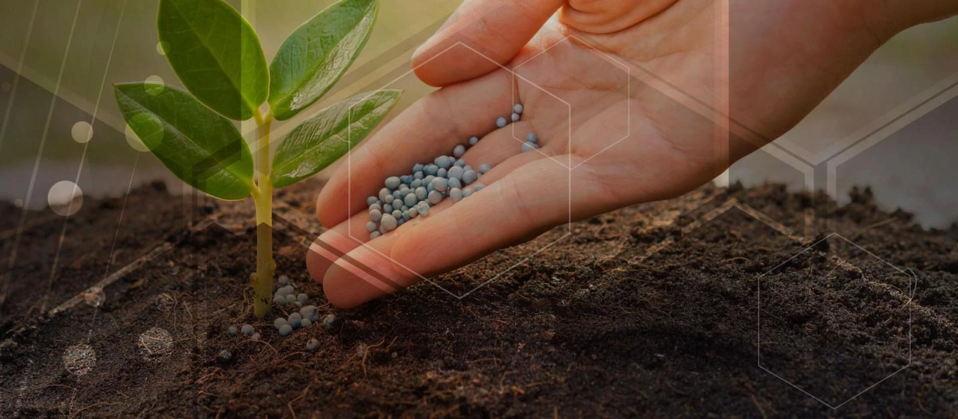 Biostimulants Market Inhibitors Slowing Global Expansion, Regulatory Adoption, and Sustainable Agriculture Growth