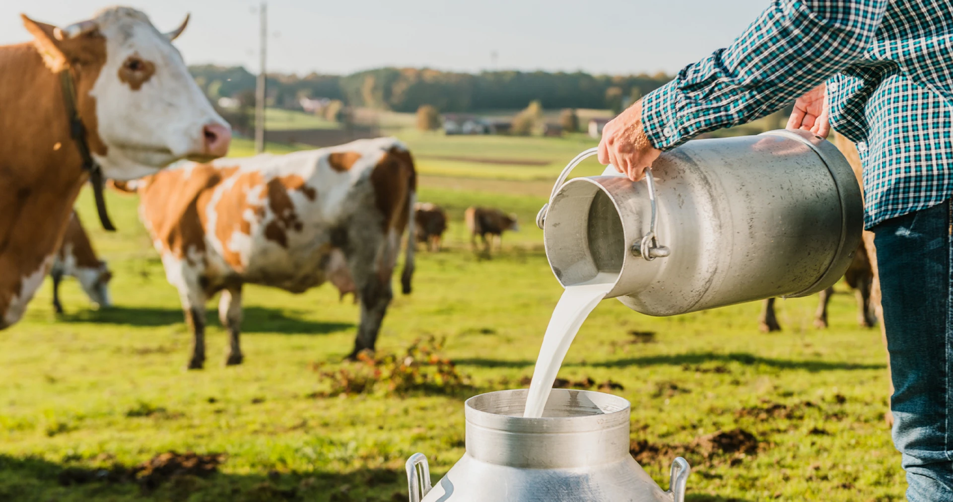 How ERP Software is Transforming the Dairy Industry in 2025