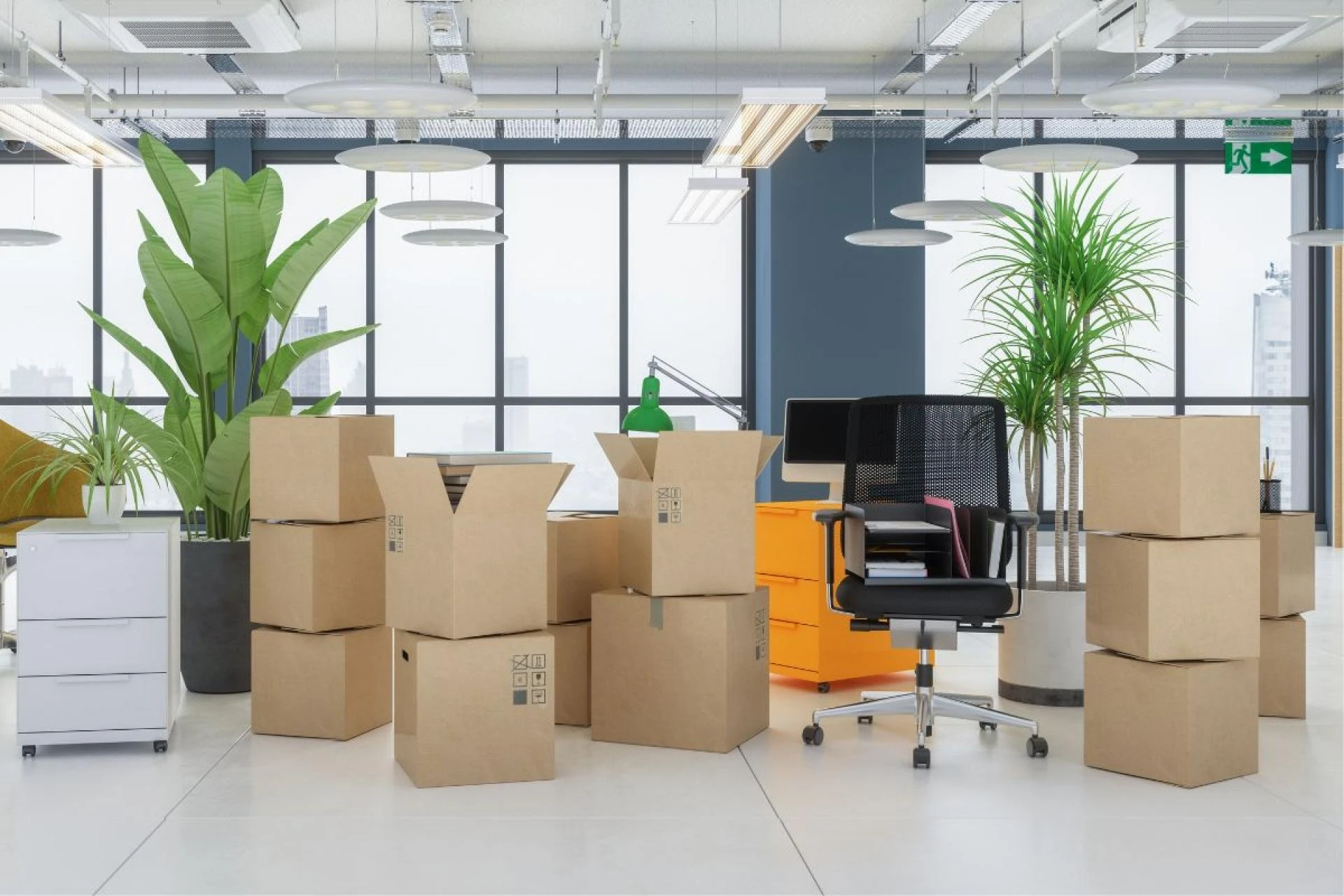 The Role of DC Movers in Corporate and Office Relocations