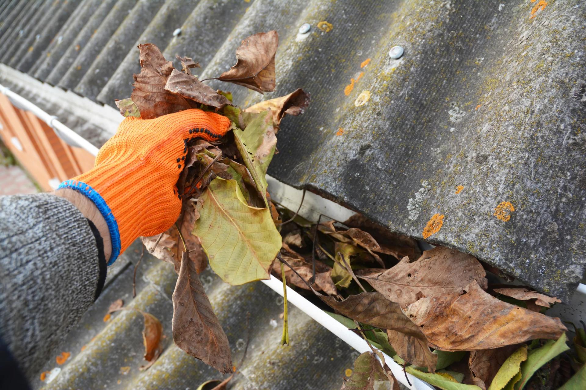 Gutter Cleaning Gaithersburg MD That Adds Curb Appeal