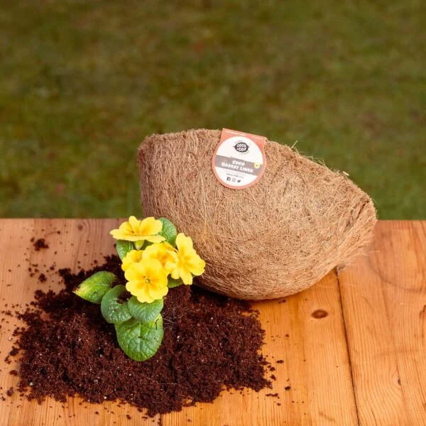 Coco Hanging Basket Liner: Natural Support for Beautiful Plants