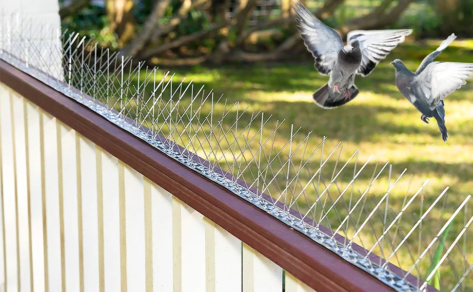 Bird Spikes for Roofs: An Effective Solution for Pest Control