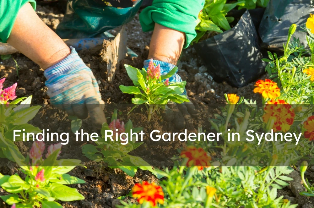 Finding the Right Gardener in Sydney