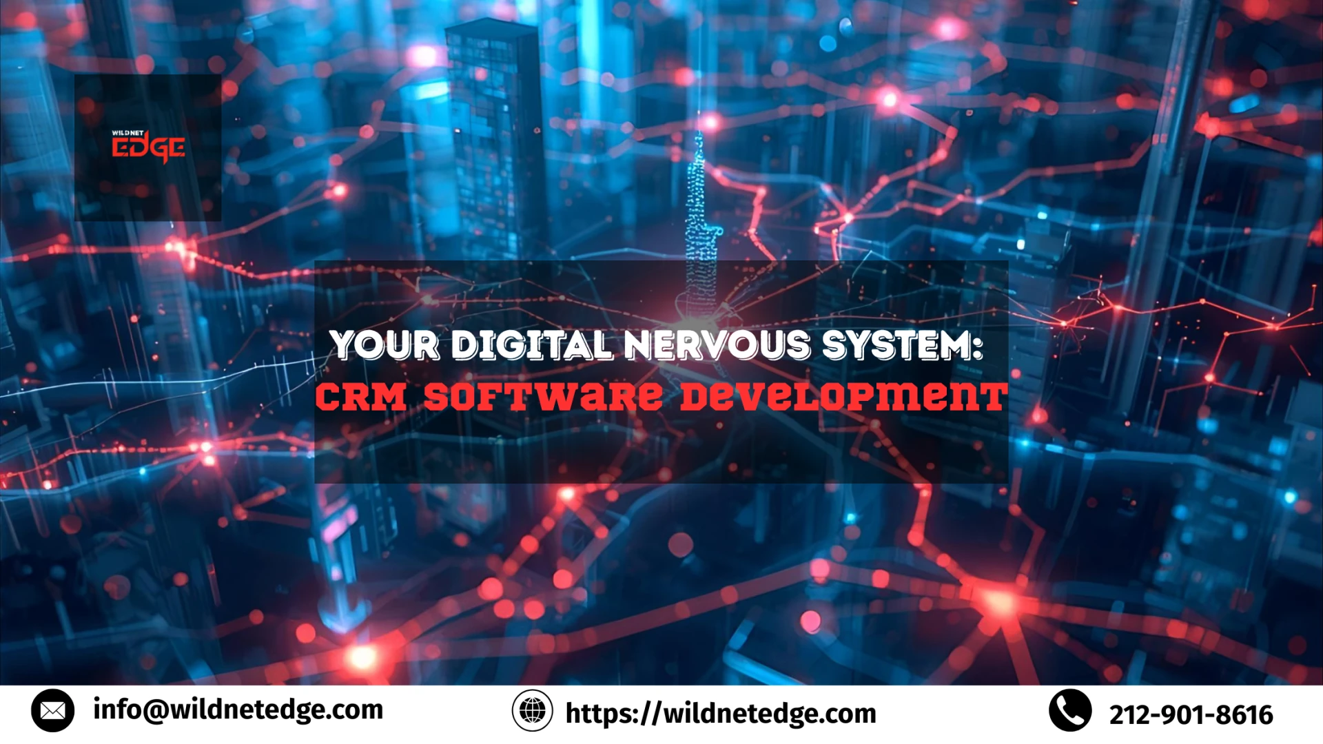 The Digital Nervous System: Building a Responsive Enterprise with Custom CRM