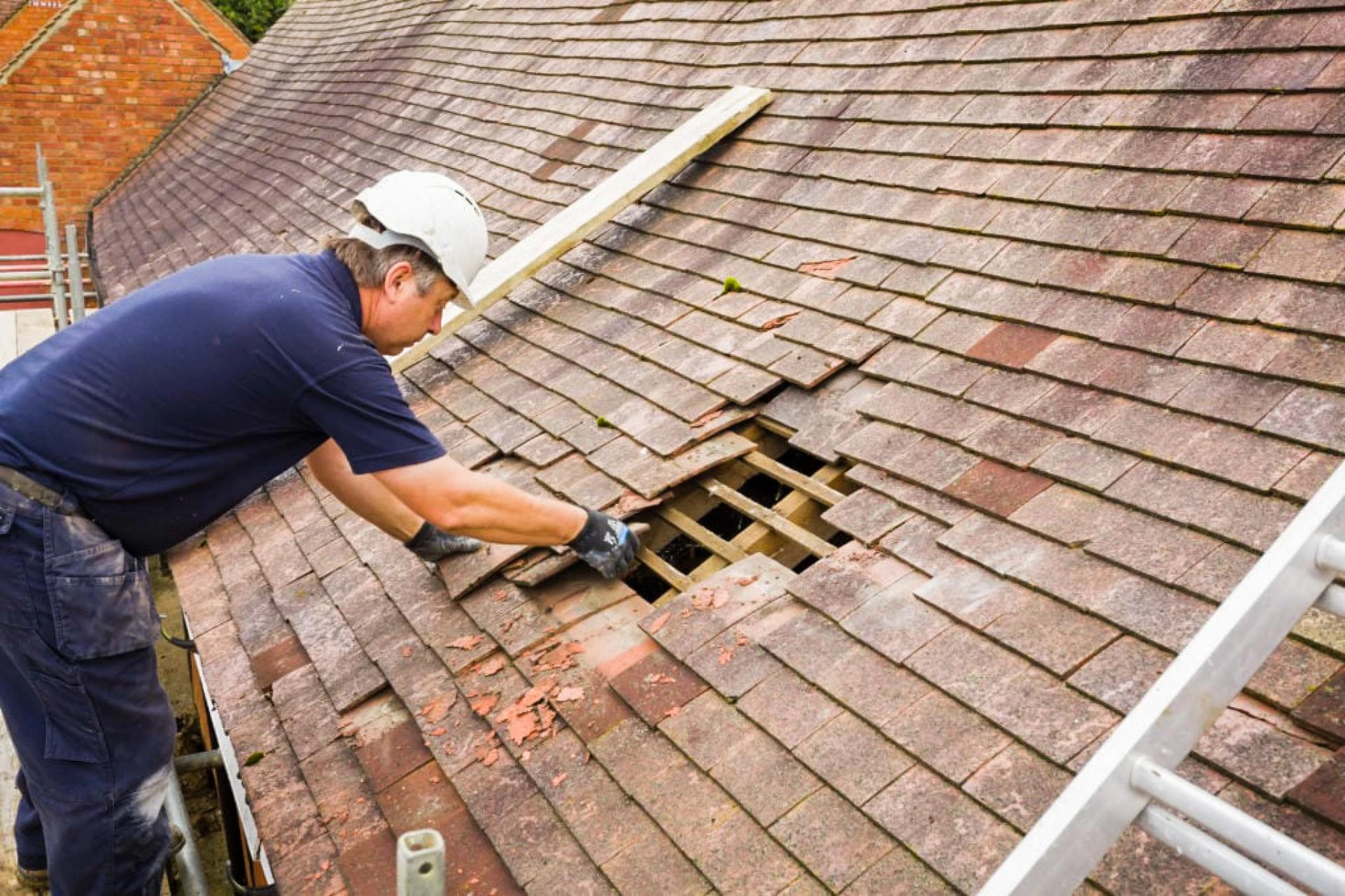 Roof Replacement: Everything You Need to Know