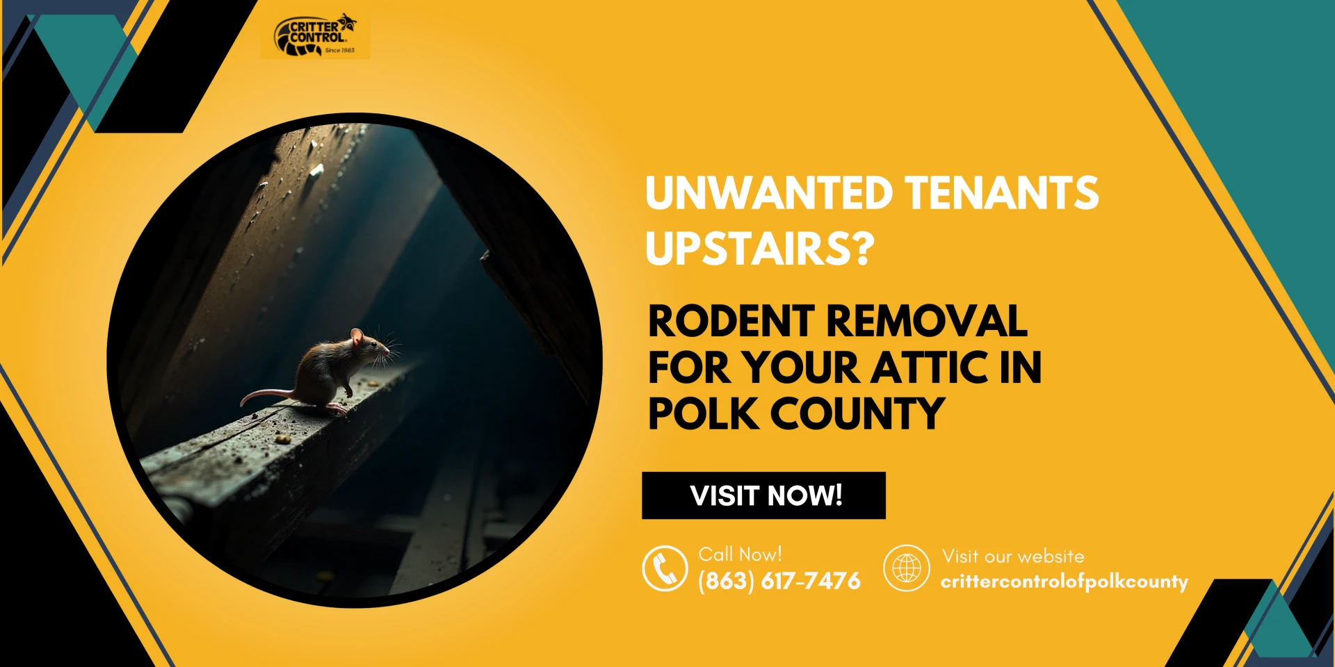 Unwanted Tenants Upstairs? Rodent Removal for Your Attic in Polk County