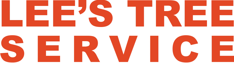 Lee’s Tree Service: Professional Tree Care and Removal in Illawarra, Wollongong, Jamberoo, Jerrara, and Curramore