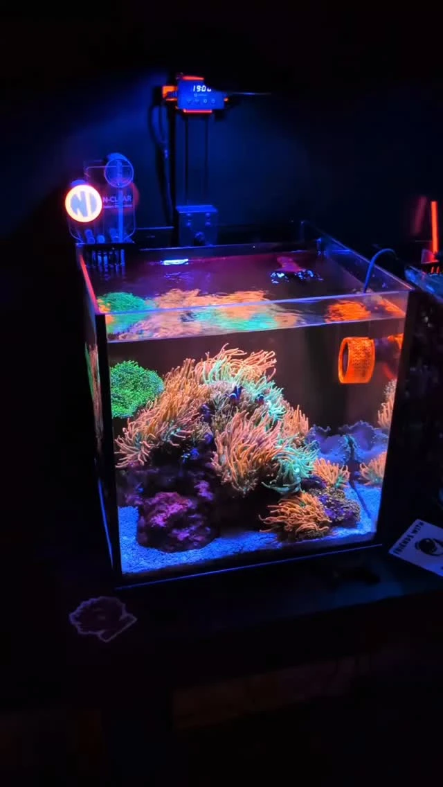 Choosing the Right Saltwater Aquarium Equipment for a Thriving Marine Tank