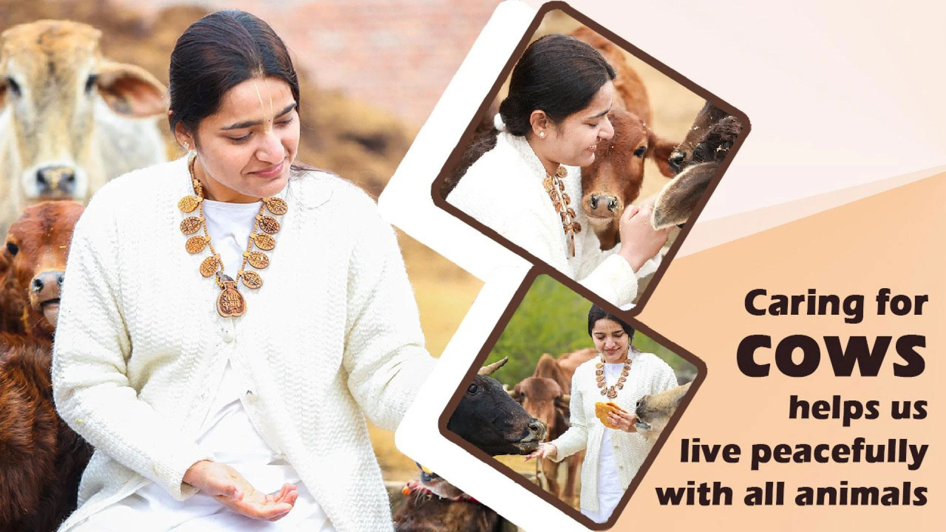 How One Accident Inspired a Lifetime Commitment: The Story Behind the Creation of Chain Bihari Gaushala