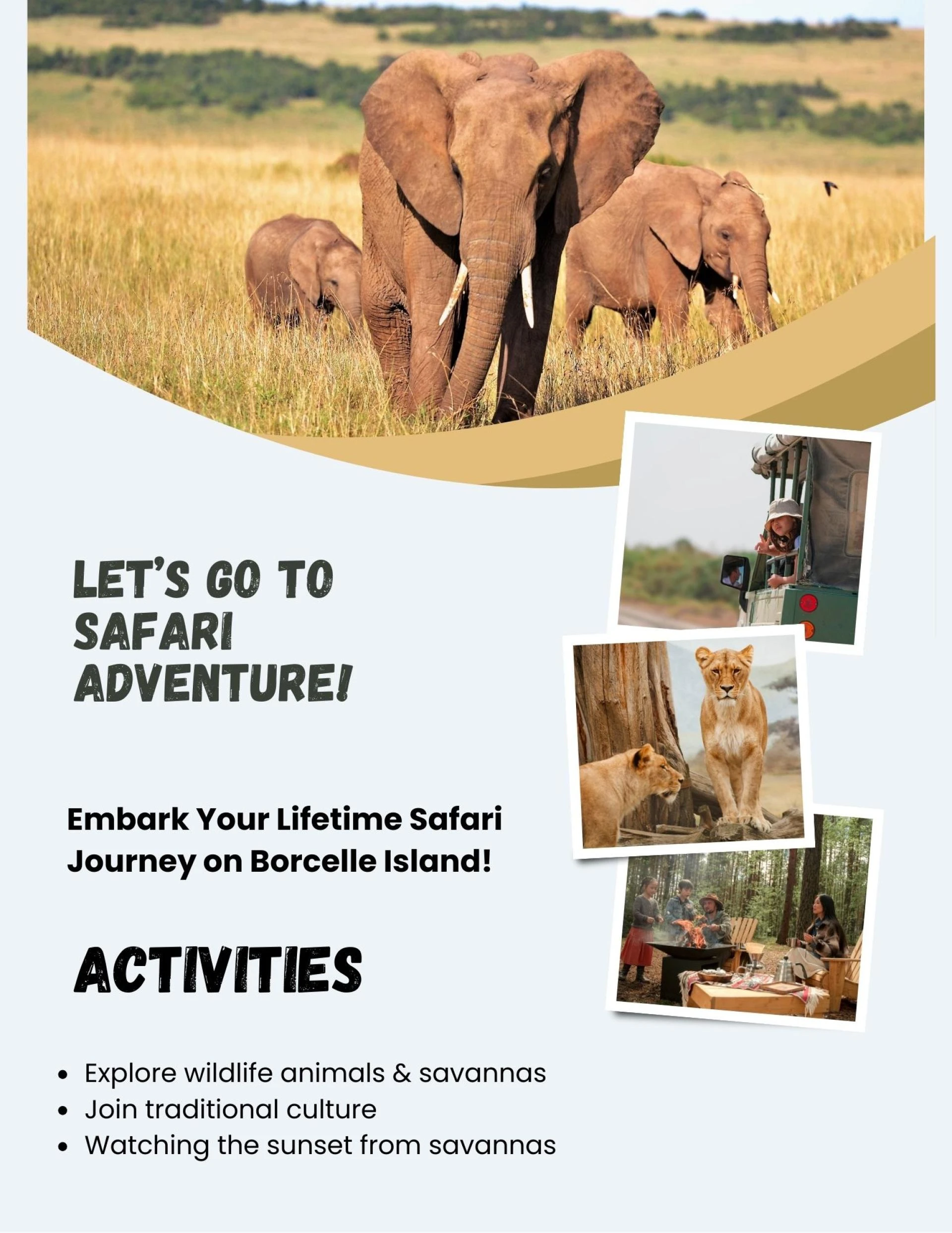 Tanzania Safari Package for Wildlife and Adventure