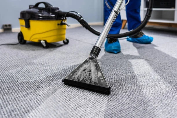 What Are the Benefits of Professional Commercial Carpet Cleaning Services?