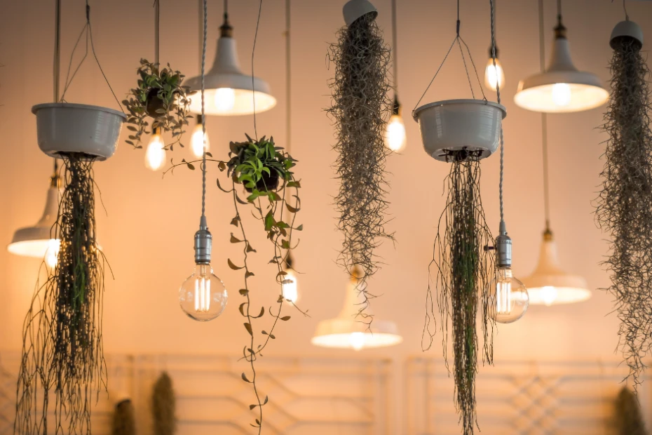 Lighting Ideas for Outdoor Spaces