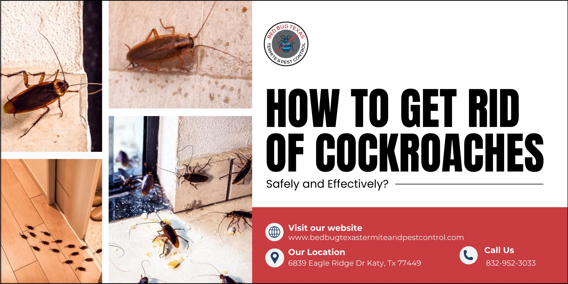 How to Get Rid of Cockroaches Safely and Effectively?