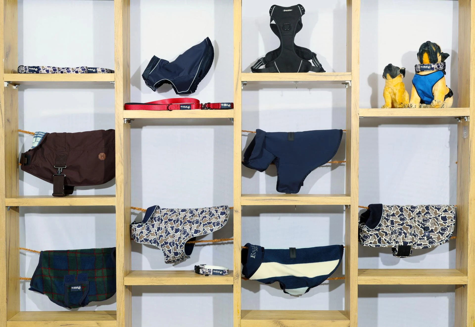 How to Start a Private Label Pet Brand with Strategies for Growth and Sustainability