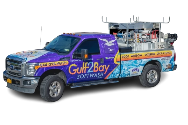  Preventing Mold Through Soft Washing: Keep Your Long Island Home Safe and Clean 