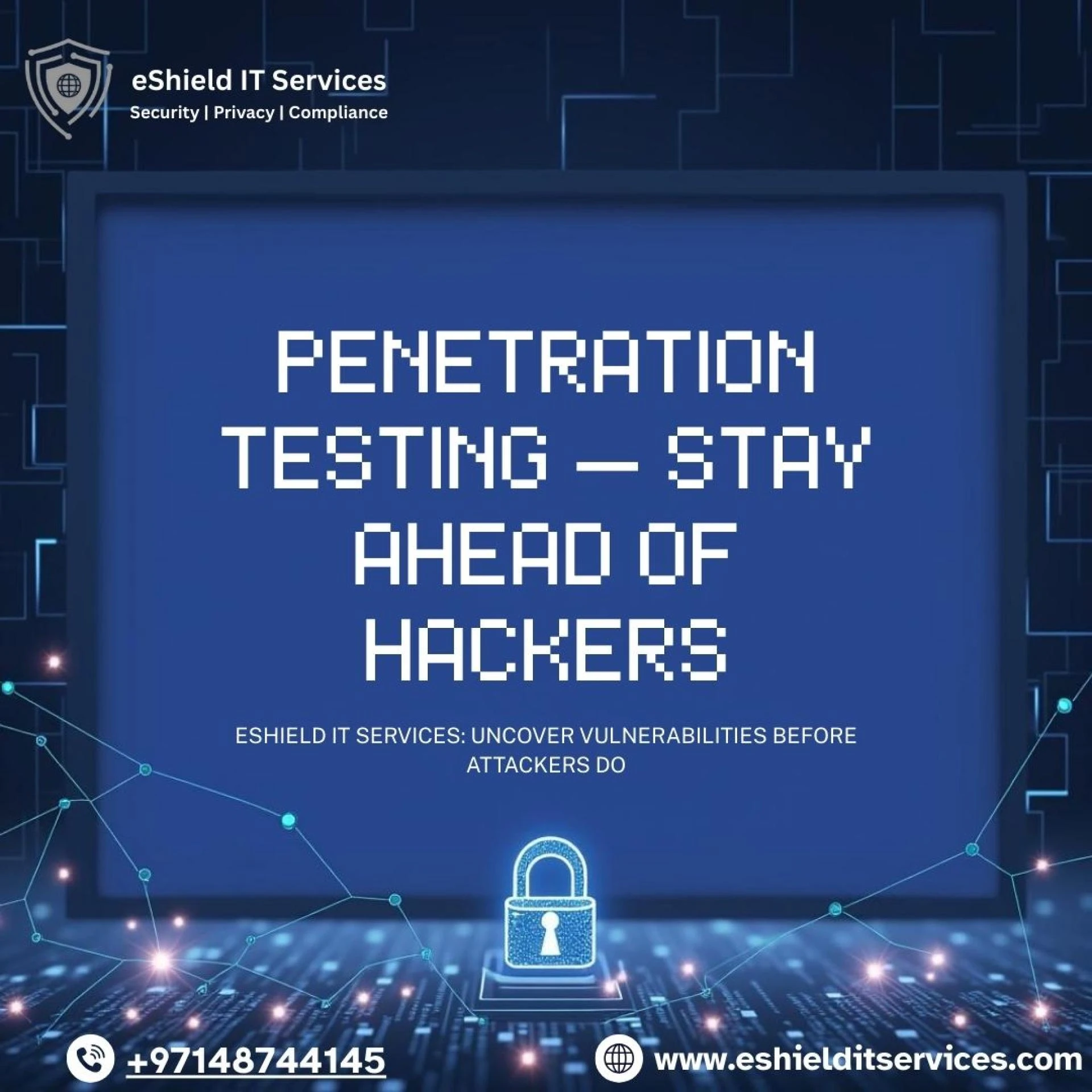 Professional Penetration Testing — Ethical Hackers, Real Results