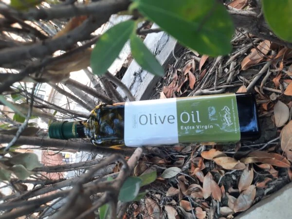 Olive Oil as the Best Oil for Cooking in Smart Kitchens 2025 in Pakistan