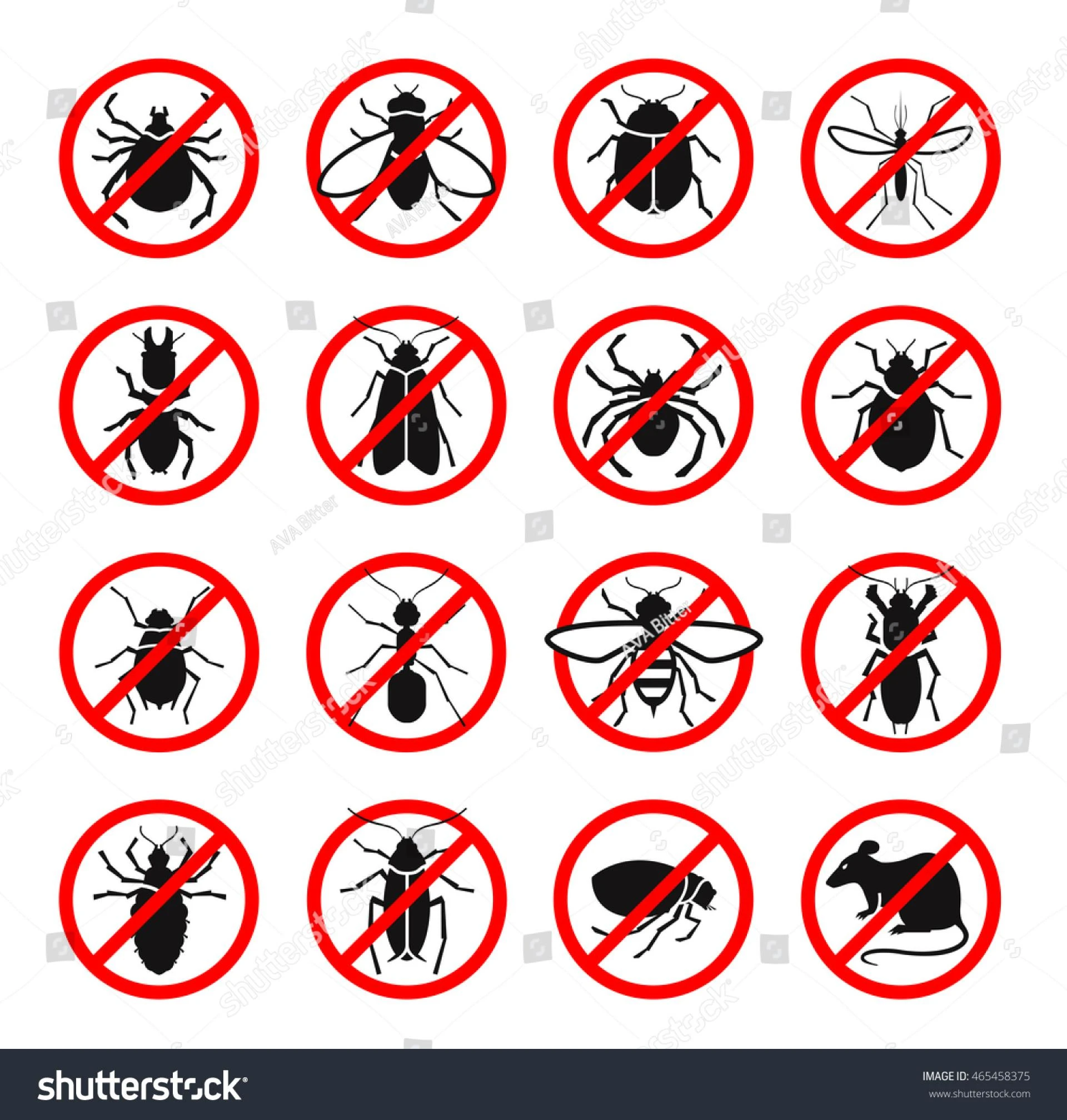 Pest control services