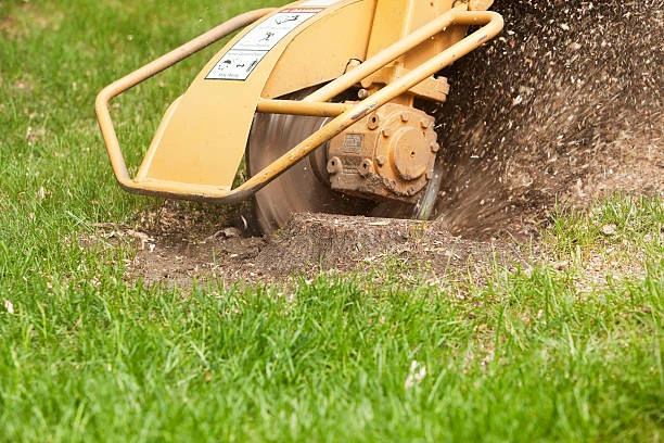 Expert Stump Grinding in Jackson MI
