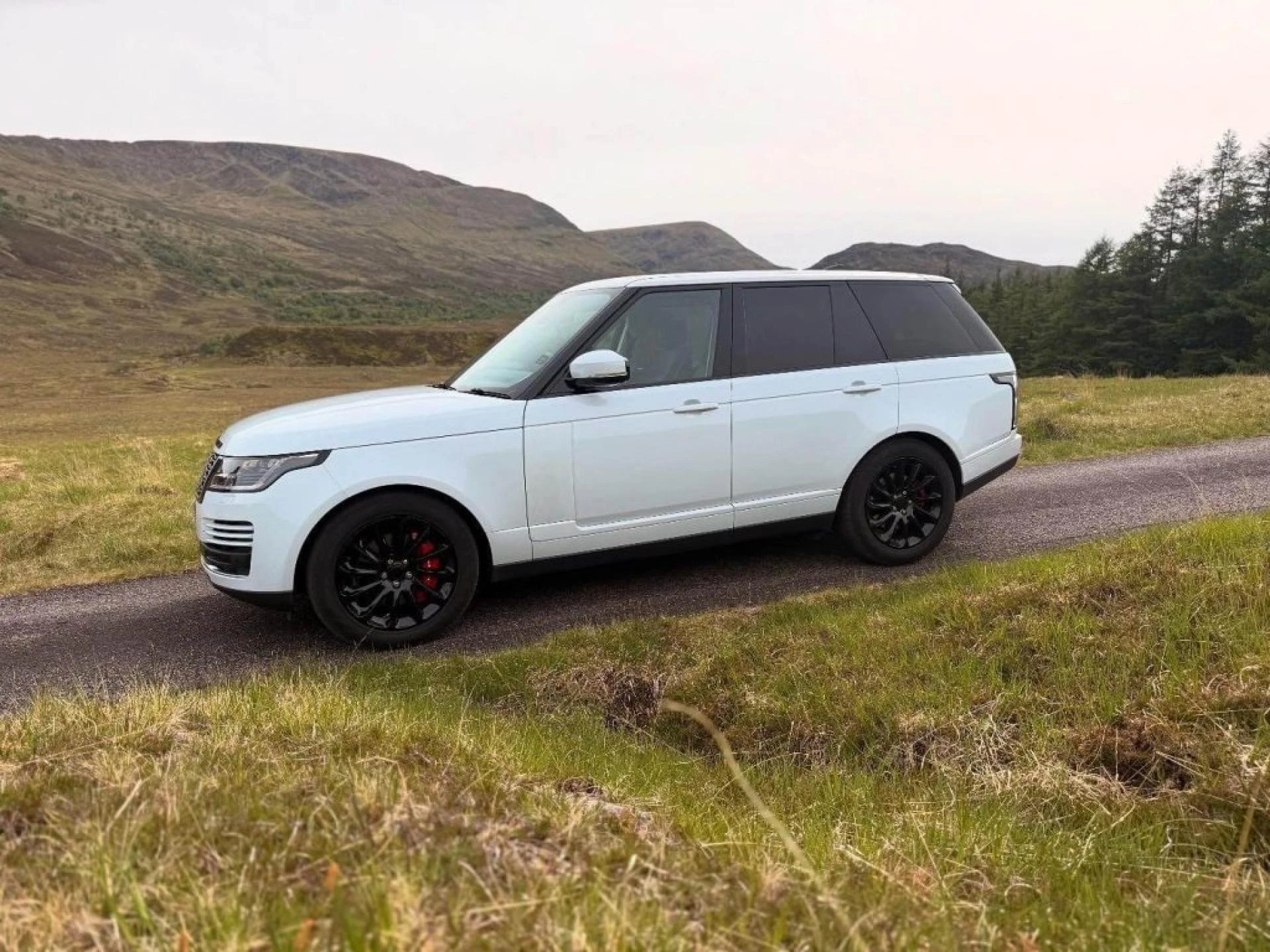 Is Choosing a Rental Car for Your Big Day Ideal?