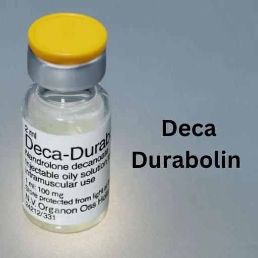 Buy Deca Durabolin Online: A Beginner’s Guide to Safe and Smart Shopping  