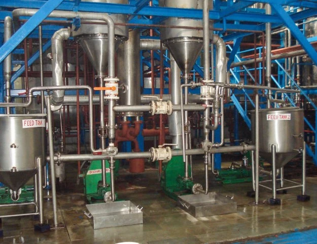 Why SSP is a Trusted Honey Powder Plant Manufacturer Worldwide