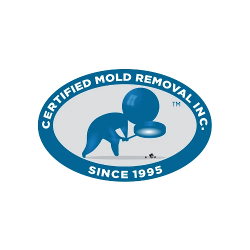 How a Mold Removal Service Can Improve Indoor Air Quality