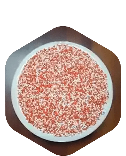 Pantoprazole Pellets Supplier and Exporter in India