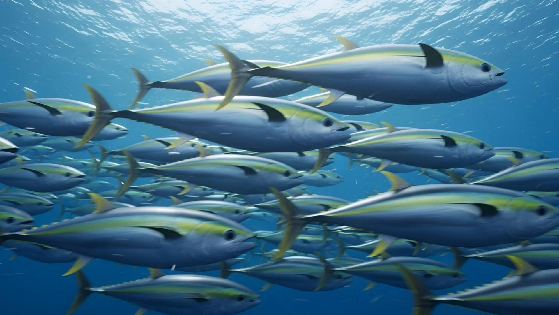 5 Things You Didn’t Know About Deep Sea Fishing Marathon Adventures