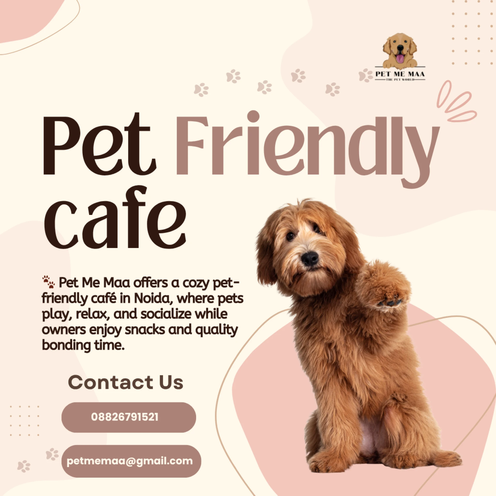 Pet Friendly Cafe Near Me – Where You and Your Furry Sidekick Actually Belong
