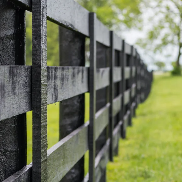 The AZ Fence Company: Quality Fencing Solutions Across Arizona