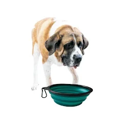 Water Bowls: Keeping Your Dog Cool And Refreshed in Summer