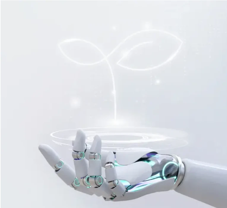 Top 5 Reasons Entrepreneurs Are Choosing ANCFZ for Company Formation