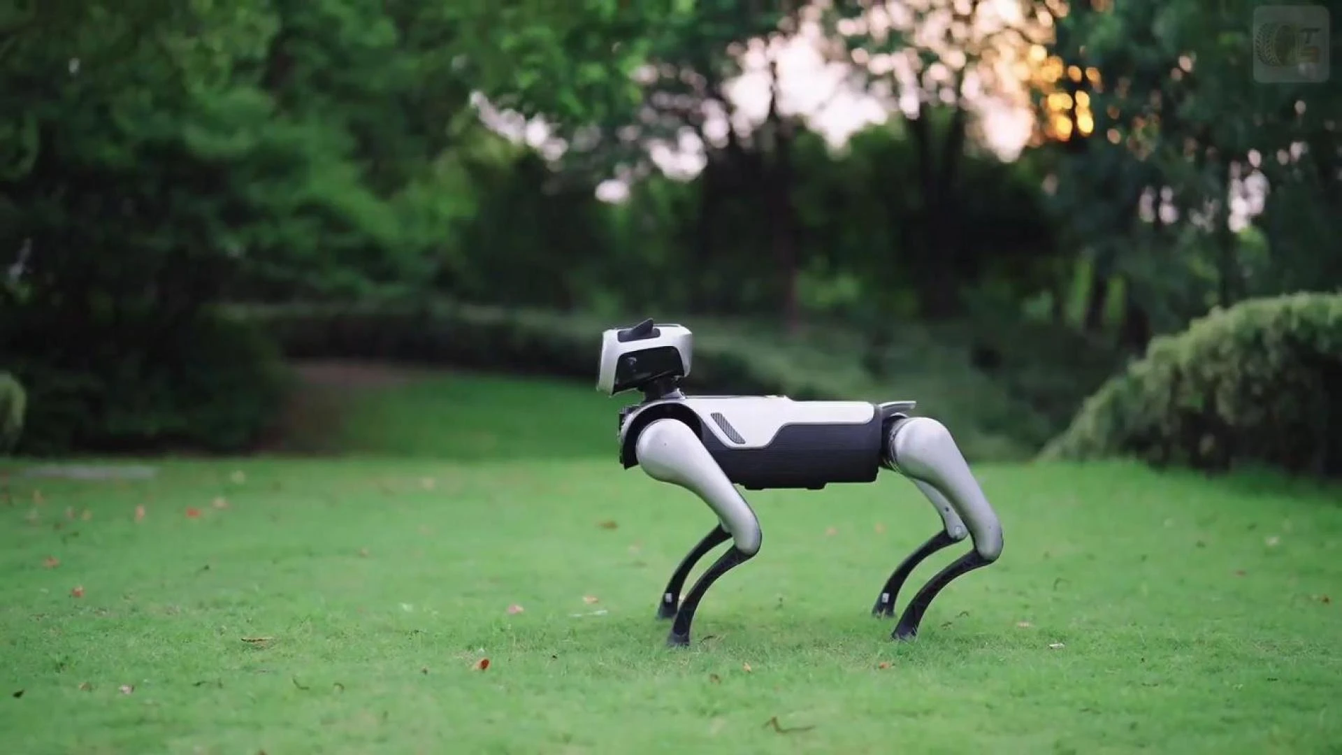 MagicDog Pro: The Robotic Dog Raising the Bar