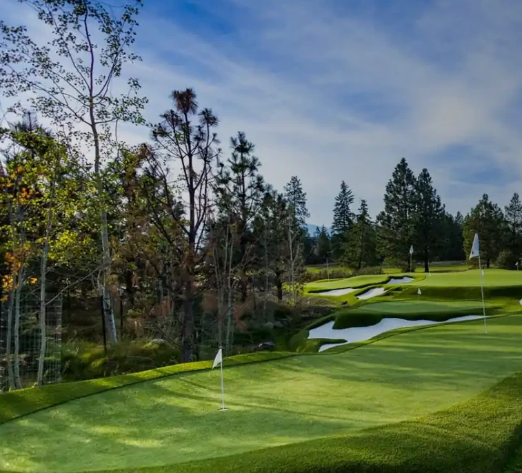 How a Backyard Putting Green Can Boost Property Value in La Quinta Homes