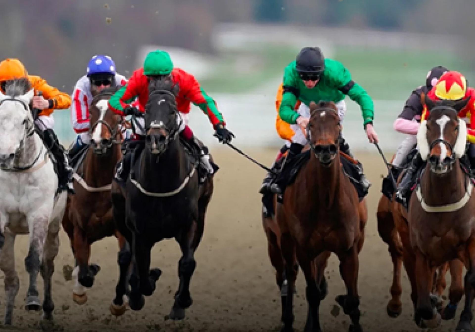 The World of Horse Racing and Expert Insights