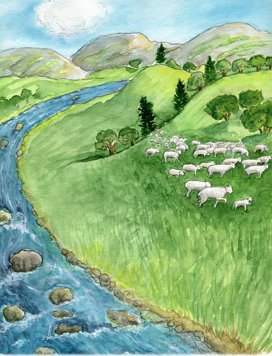 Why Malinda Raines Is the Go-To Artist for Authors Nationwide