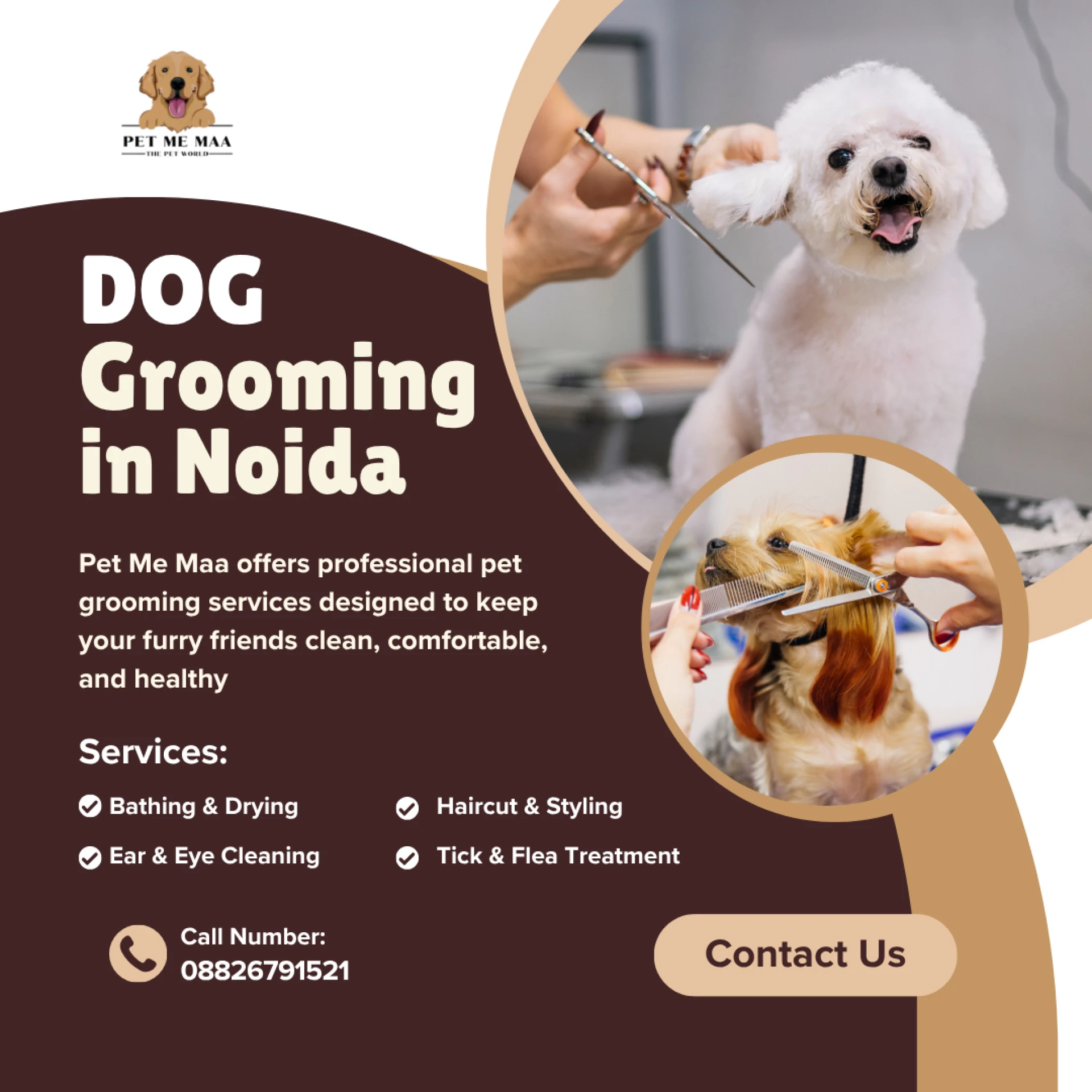 Dog Grooming in Noida: All Pet Care Solutions for Your Four-Legged Goofball at Pet Me Maa